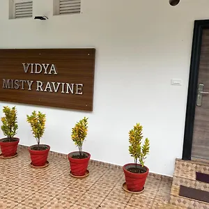 Resort Vidya Misty Ravine